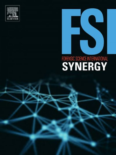 FSI-Synergy